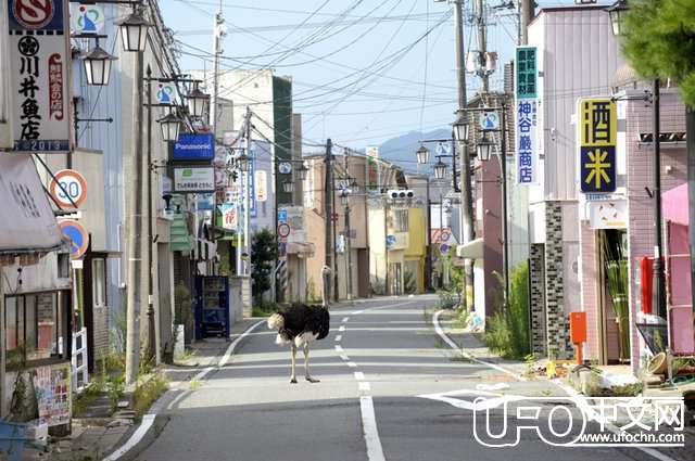 揭秘全球十大被化学毒品污染之城406 / 作者:UFO中文网 / 帖子ID:18102