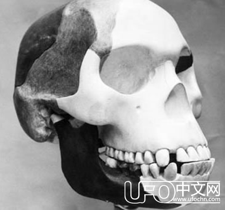 揭秘科学界六大骗局325 / 作者:UFO中文网 / 帖子ID:18111