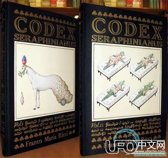 《塞拉菲尼抄本》一本神奇的书492 / 作者:伤我心太深 / 帖子ID:18375