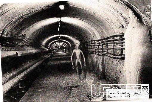 罗斯维尔飞碟坠毁事件现场照片277 / 作者:伤我心太深 / 帖子ID:18652