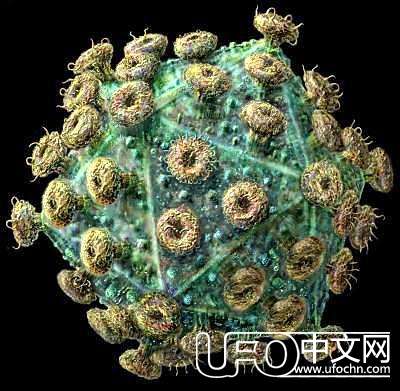 埃博拉病毒成为世界上第八大传染病335 / 作者:伤我心太深 / 帖子ID:18813