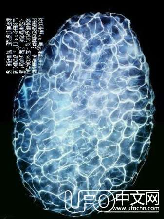 有外星人吗89 / 作者:伤我心太深 / 帖子ID:18885