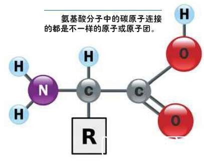 宇宙设计论：谁把对称的宇宙隐藏起来了？613 / 作者:伤我心太深 / 帖子ID:18984
