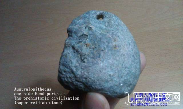 惊天发现：史前智慧人类少数幸存者（人类祖先人头像）429 / 作者:史前文明微雕石 / 帖子ID:18868