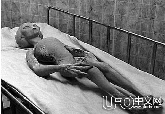 ufo外星人真实图片671 / 作者:骑UFO看外星人 / 帖子ID:19009