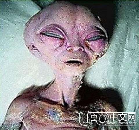 ufo外星人真实图片553 / 作者:骑UFO看外星人 / 帖子ID:19009