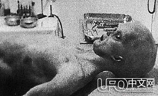 ufo外星人真实图片848 / 作者:骑UFO看外星人 / 帖子ID:19009