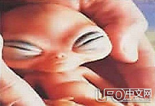 ufo外星人真实图片834 / 作者:骑UFO看外星人 / 帖子ID:19009