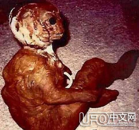 ufo外星人真实图片792 / 作者:骑UFO看外星人 / 帖子ID:19009