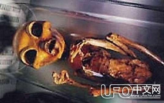 ufo外星人真实图片735 / 作者:骑UFO看外星人 / 帖子ID:19009