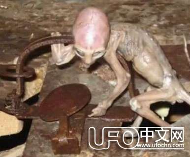 ufo外星人真实图片278 / 作者:骑UFO看外星人 / 帖子ID:19009