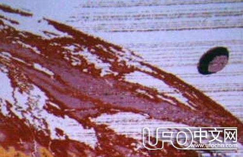 ufo外星人真实图片944 / 作者:骑UFO看外星人 / 帖子ID:19009