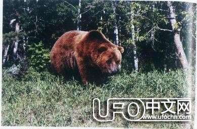 人类灭绝会不会在明天发生232 / 作者:骑UFO看外星人 / 帖子ID:19011