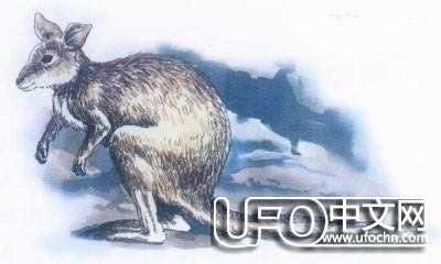 人类灭绝会不会在明天发生623 / 作者:骑UFO看外星人 / 帖子ID:19011