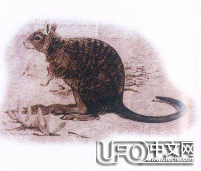 人类灭绝会不会在明天发生55 / 作者:骑UFO看外星人 / 帖子ID:19011