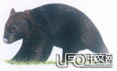 人类灭绝会不会在明天发生448 / 作者:骑UFO看外星人 / 帖子ID:19011