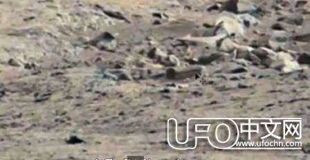 UFO研究者解密火星棺材用于安葬小灰人601 / 作者:骑UFO看外星人 / 帖子ID:19059