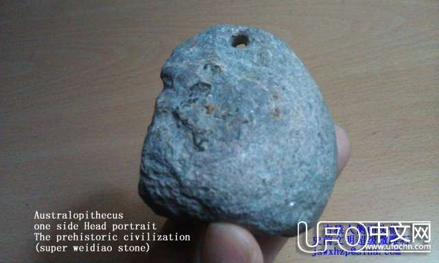 探索外星文明和研究史前文明是最高级的考古948 / 作者:史前文明微雕石 / 帖子ID:19127