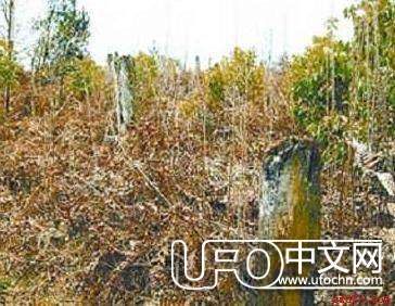1994贵阳空中怪车事件  亲历证人揭秘952 / 作者:伤我心太深 / 帖子ID:19241