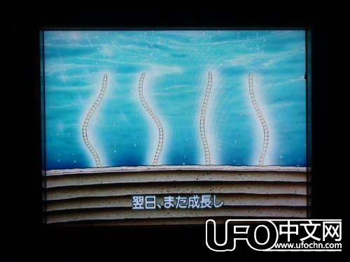 宇宙之谜10 / 作者:伤我心太深 / 帖子ID:19373