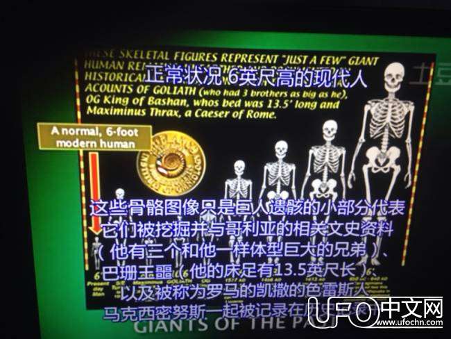 2015.5.6墨西哥江召开新闻发布会，揭示外星文明358 / 作者:不动冥王神 / 帖子ID:19443