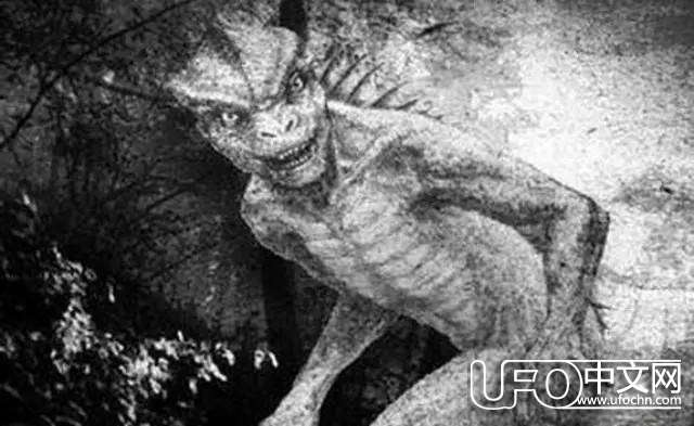 探寻两种常见的外星人种类502 / 作者:伤我心太深 / 帖子ID:19445