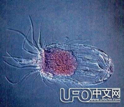 如果太阳消失后 地球会怎样198 / 作者:骑UFO看外星人 / 帖子ID:19653