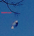 UFO923 / 作者:etohome / 帖子ID:19664