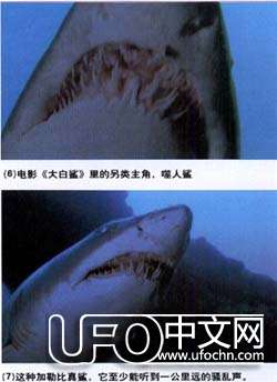 生命如何从海洋进化而来973 / 作者:伤我心太深 / 帖子ID:19894