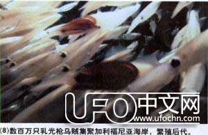 生命如何从海洋进化而来94 / 作者:伤我心太深 / 帖子ID:19894
