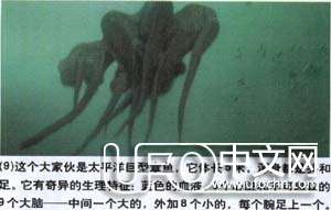 生命如何从海洋进化而来576 / 作者:伤我心太深 / 帖子ID:19894