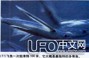 生命如何从海洋进化而来240 / 作者:伤我心太深 / 帖子ID:19894