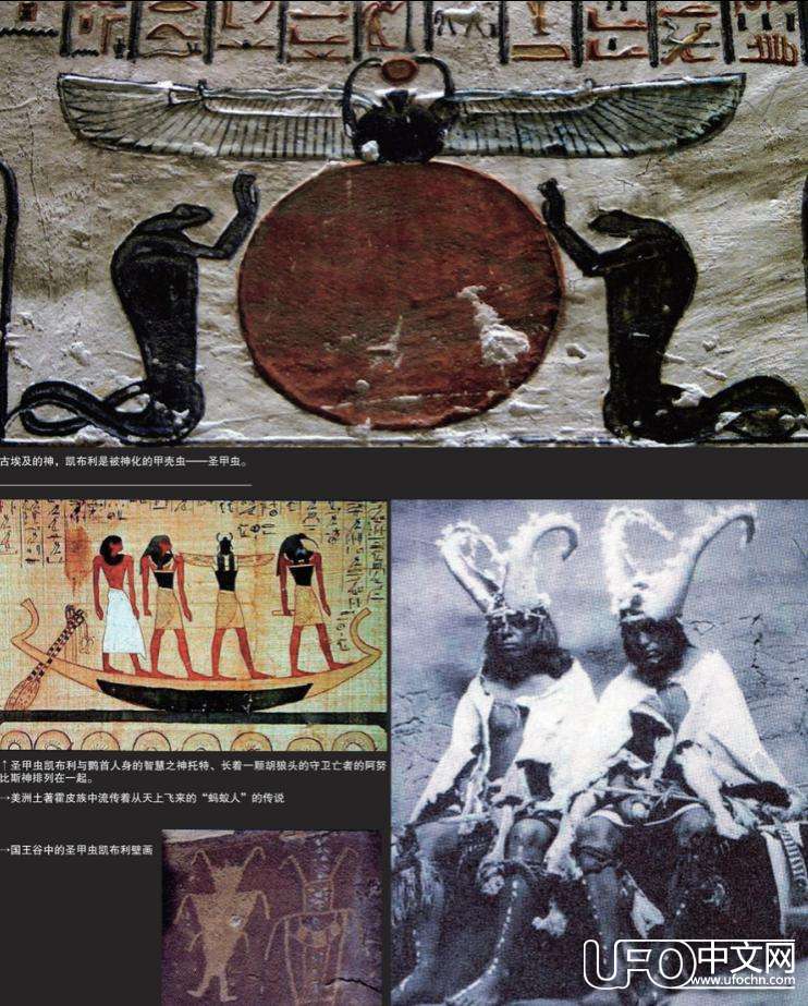 昆虫形外星人之谜355 / 作者:伤我心太深 / 帖子ID:19973