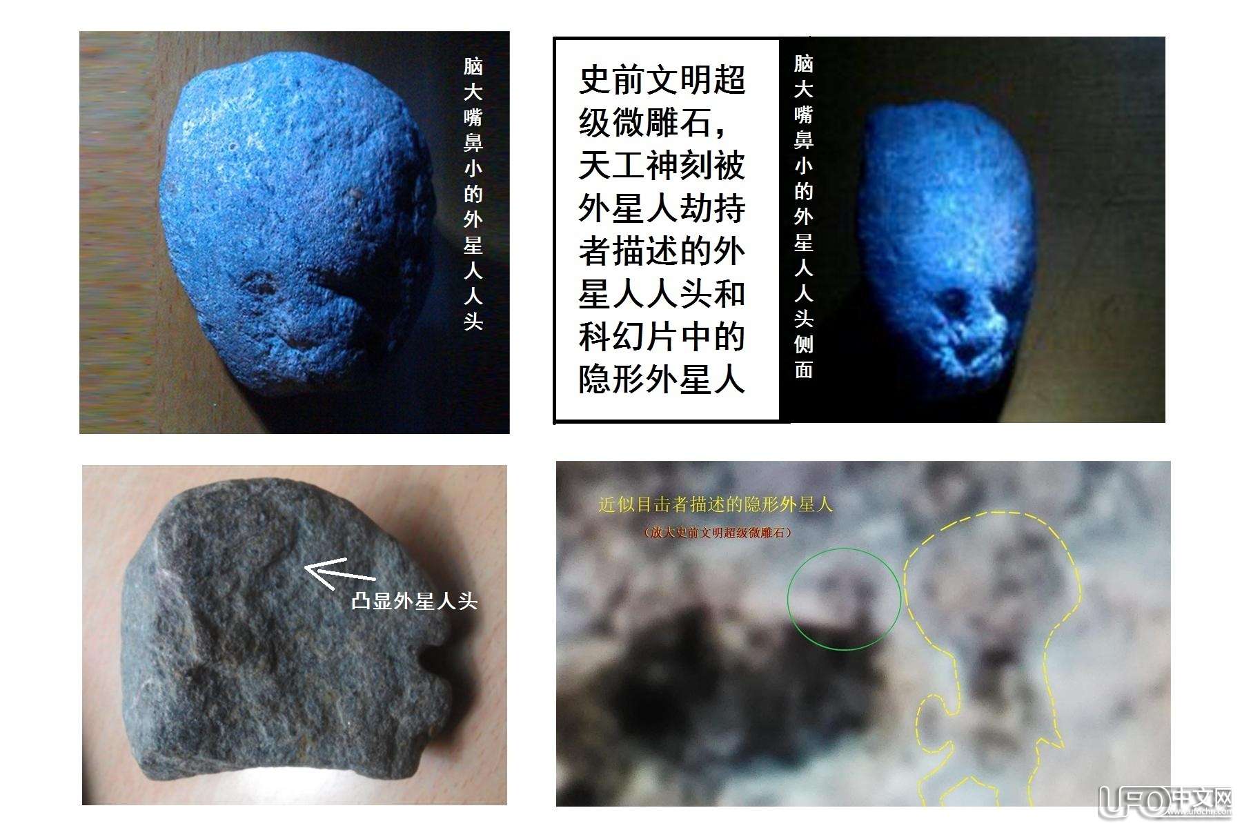 惊天发现：史前智慧人类少数幸存者（人类祖先人头像）255 / 作者:史前文明微雕石 / 帖子ID:18868