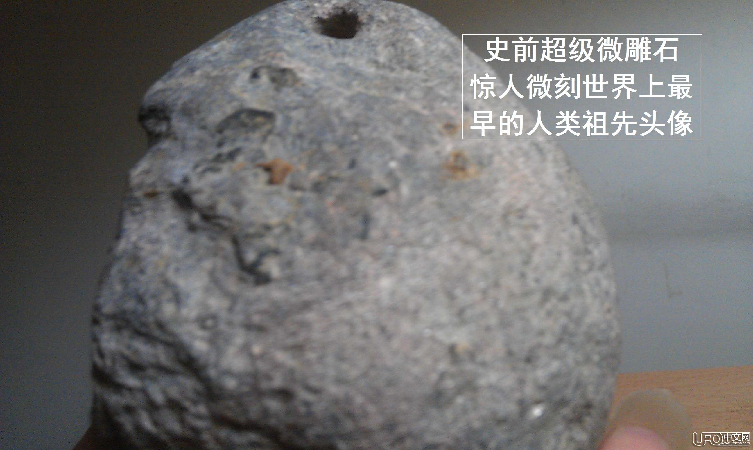天降变形金刚神石　惊显人类祖先头像675 / 作者:steco / 帖子ID:20297