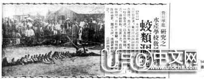 中国十大灵异事件733 / 作者:伤我心太深 / 帖子ID:20452