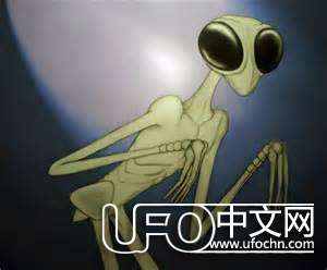 类昆虫型外星人之谜817 / 作者:伤我心太深 / 帖子ID:20487