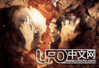 外星人的秘密：证据都不是真相386 / 作者:伤我心太深 / 帖子ID:20511