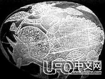 外星人的秘密：证据都不是真相431 / 作者:伤我心太深 / 帖子ID:20511