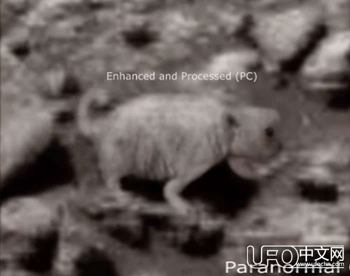UFO网站“UFO Daily Sightings”火星发现北极星【图片】898 / 作者:伤我心太深 / 帖子ID:20787