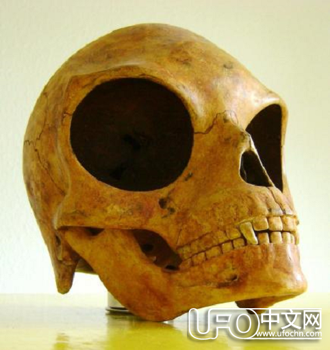 丹麦西兰岛发现类似外星人头骨【图片】912 / 作者:伤我心太深 / 帖子ID:20850