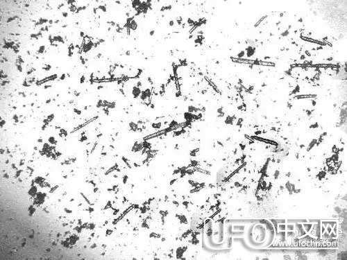 科学家在陨石碎片中发现存在外星生命证据230 / 作者:伤我心太深 / 帖子ID:21015