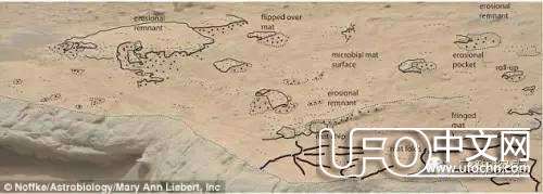 火星竟然有大量微生物？338 / 作者:伤我心太深 / 帖子ID:21133