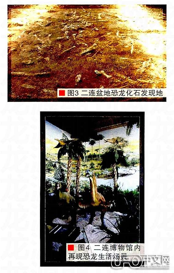 白垩纪时代  恐龙怎么灭绝的294 / 作者:伤我心太深 / 帖子ID:21178