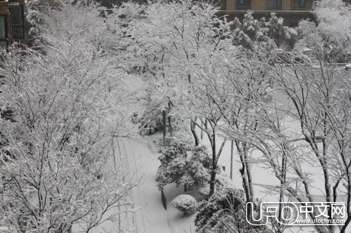 2016超强寒潮来袭 堪比千年极寒的小冰河时代来临？435 / 作者:伤我心太深 / 帖子ID:21216