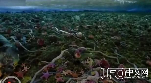 南极巨虫吞食巨型海豹241 / 作者:伤我心太深 / 来源: