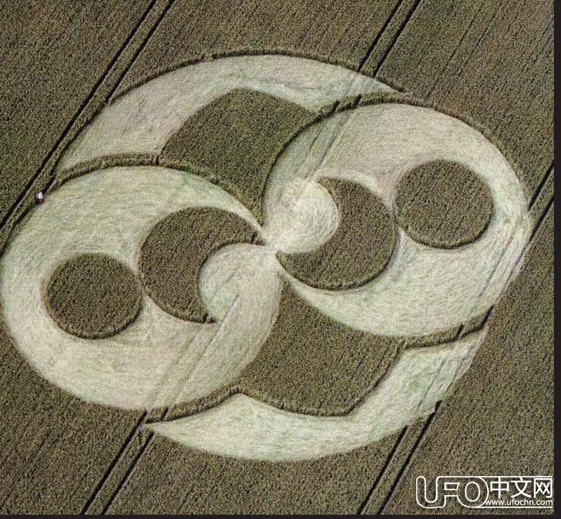 UFO事件现场罗斯威尔发现与麦田怪圈图案相同的岩石335 / 作者:伤我心太深 / 帖子ID:21430