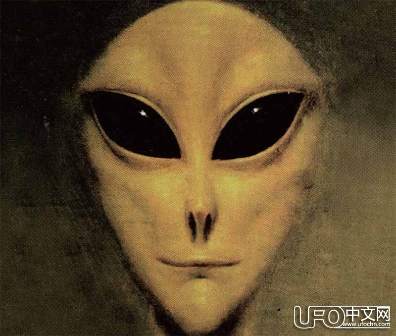 地球的原住民可能就是叫“小灰人”的外星人647 / 作者:伤我心太深 / 帖子ID:21432