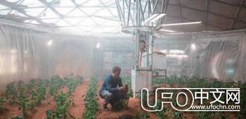 关于火星的传言你认为多少是真的407 / 作者:伤我心太深 / 帖子ID:21490