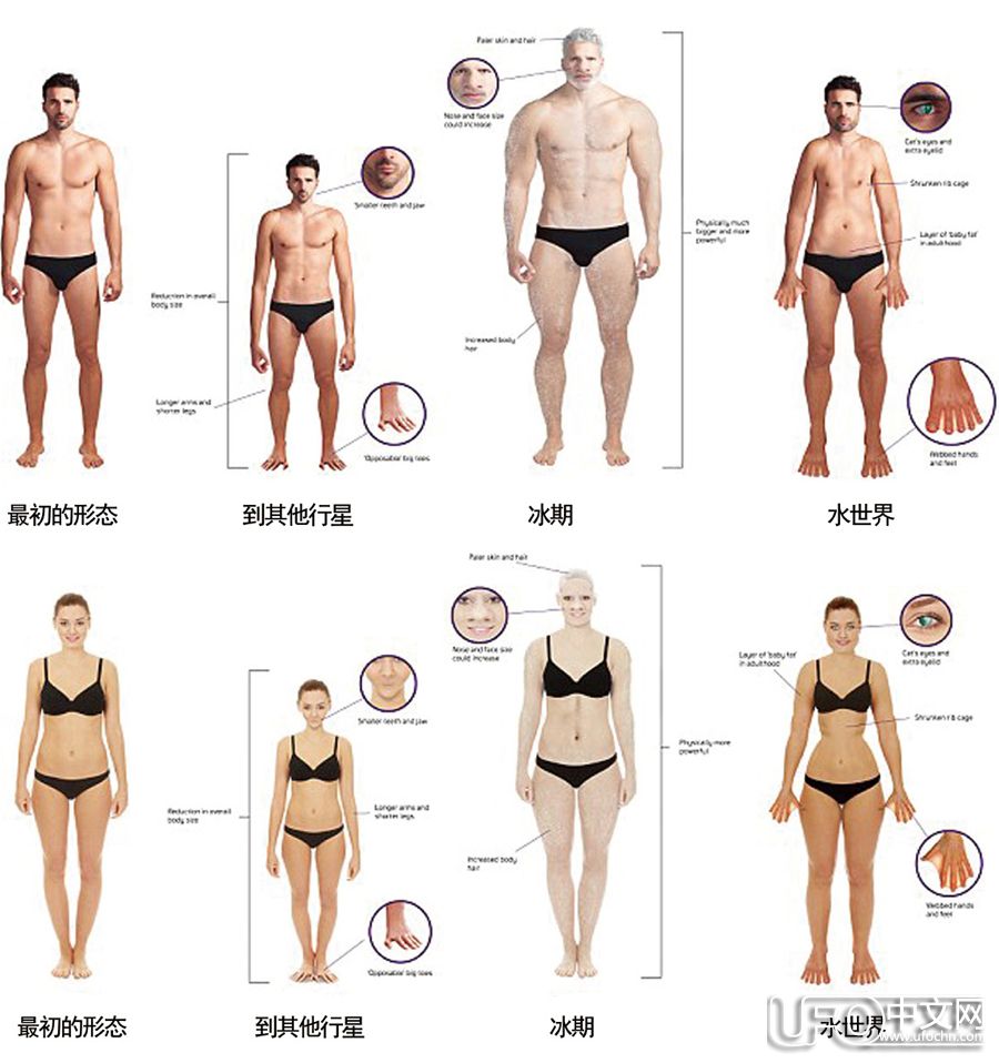 未来的人类会长成什么样875 / 作者:伤我心太深 / 帖子ID:21526